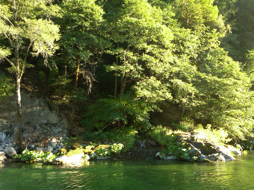Camping Trip on the Yuba River, Aug 2011 083 sohansophie Flickr