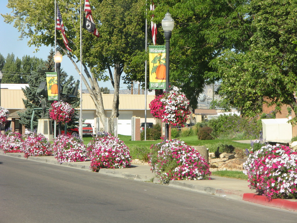 Vernal City, UT Great flower display. US Rt 40 Flickr