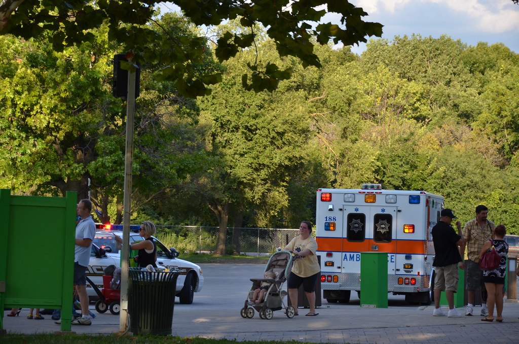 Brookfield Zoo 246 Brookfield Zoo View the Hi… Flickr