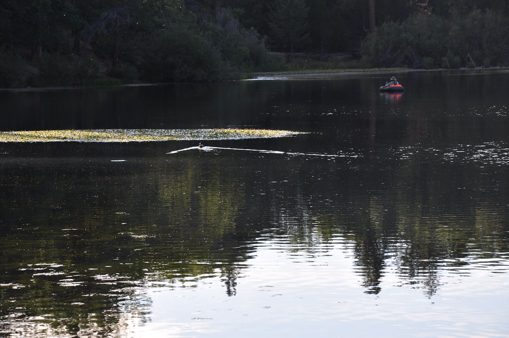 2011 08 21 Jenks Lake, Barton Flats, CA 116 Doug Carlson Flickr