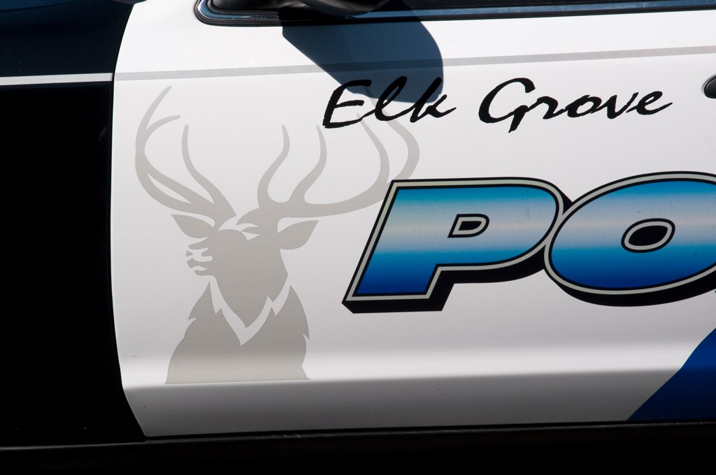 Elk Grove Police Elk The elk on the door of the police car… Brian