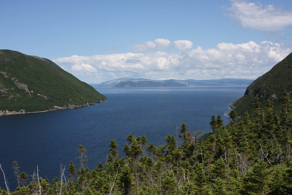 NL4 Entry to Lark Harbor, NL Jeff Johnson Flickr