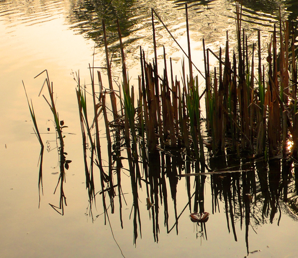 le cose non dette marialuce B Flickr