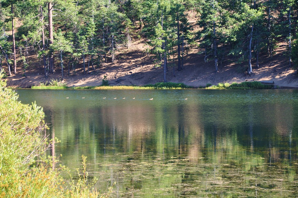 2011 08 21 Jenks Lake, Barton Flats, CA 004 Doug Carlson Flickr