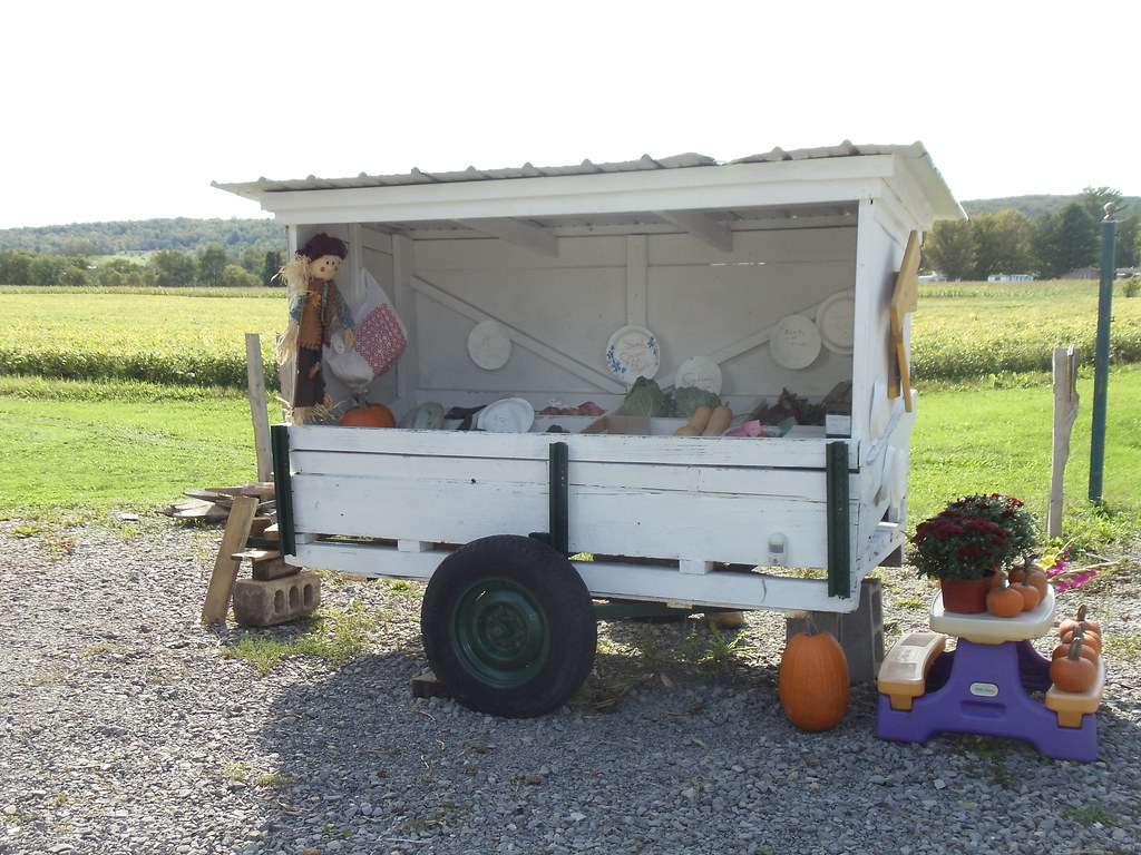 Unadilla Forks, New York Flickr