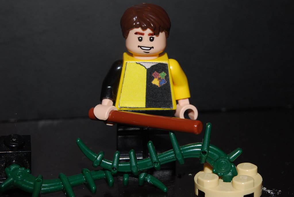 Cedric Diggory Hufflepuff student, Hogwarts champion. Ican… Flickr