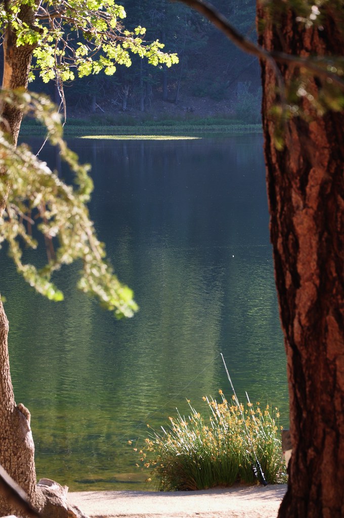 2011 08 21 Jenks Lake, Barton Flats, CA 070 Doug Carlson Flickr