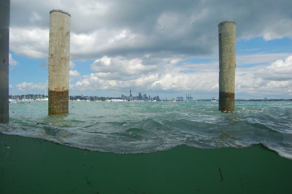 New Zealand Auckland Underwater city view ecohotelcostarica