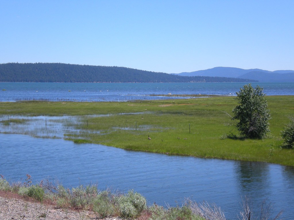 Lake Almanor at Chester Flickr