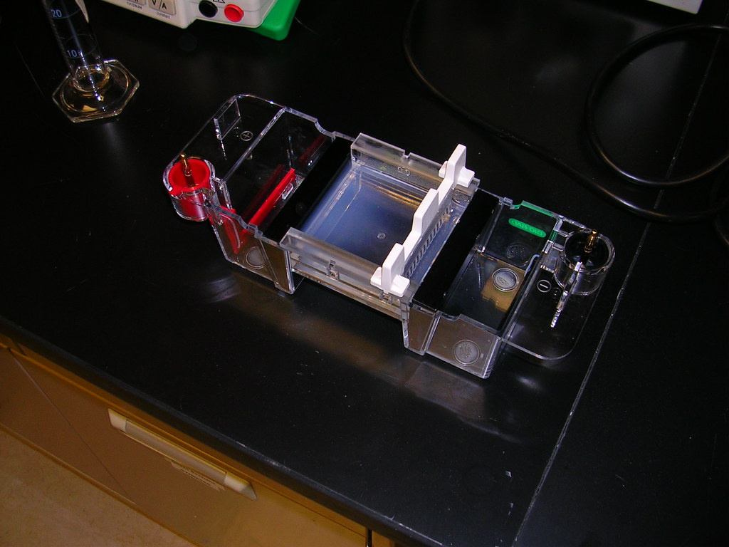 Gel box gel box for electrophoresis with agarose gel insid… Flickr