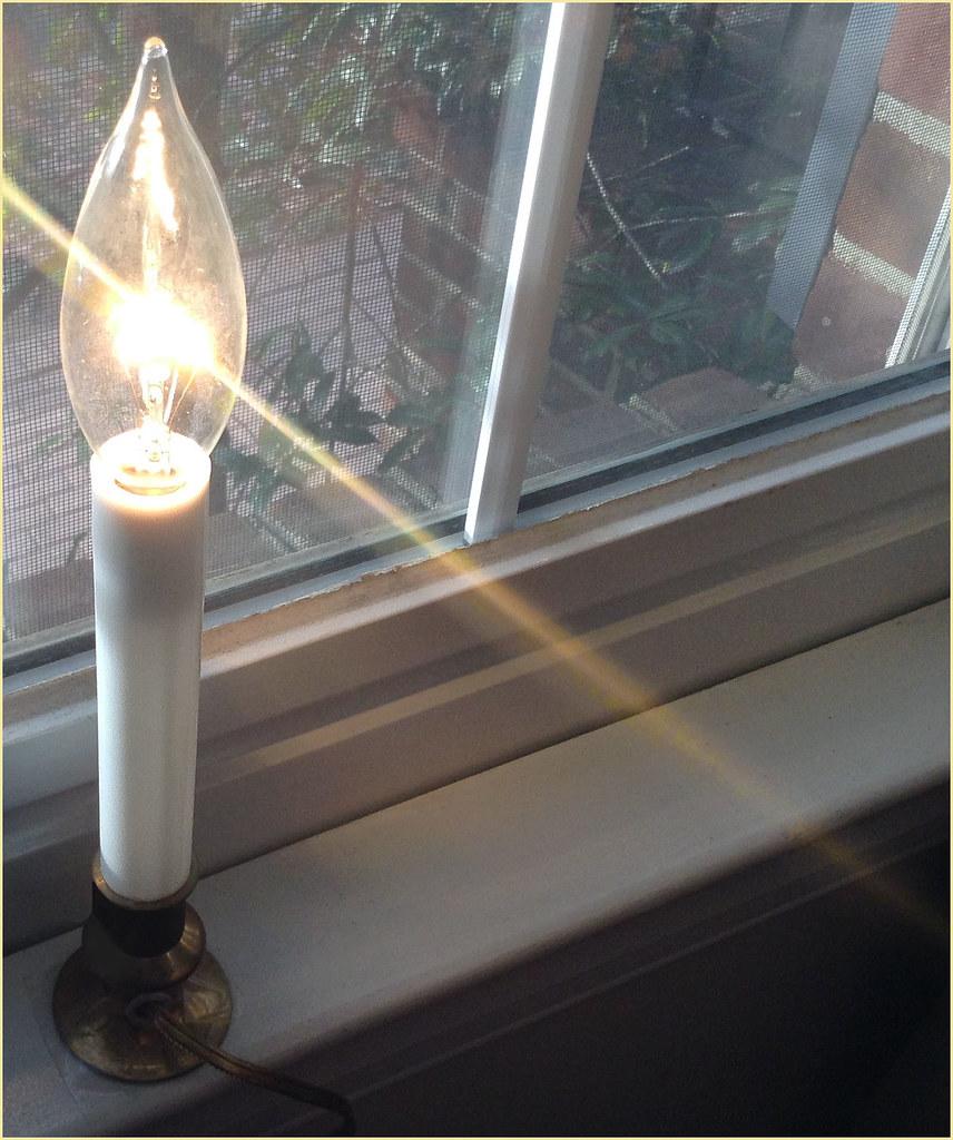 'Christmas Light' Arlington (VA) December 2015 IMG_4077… Ron