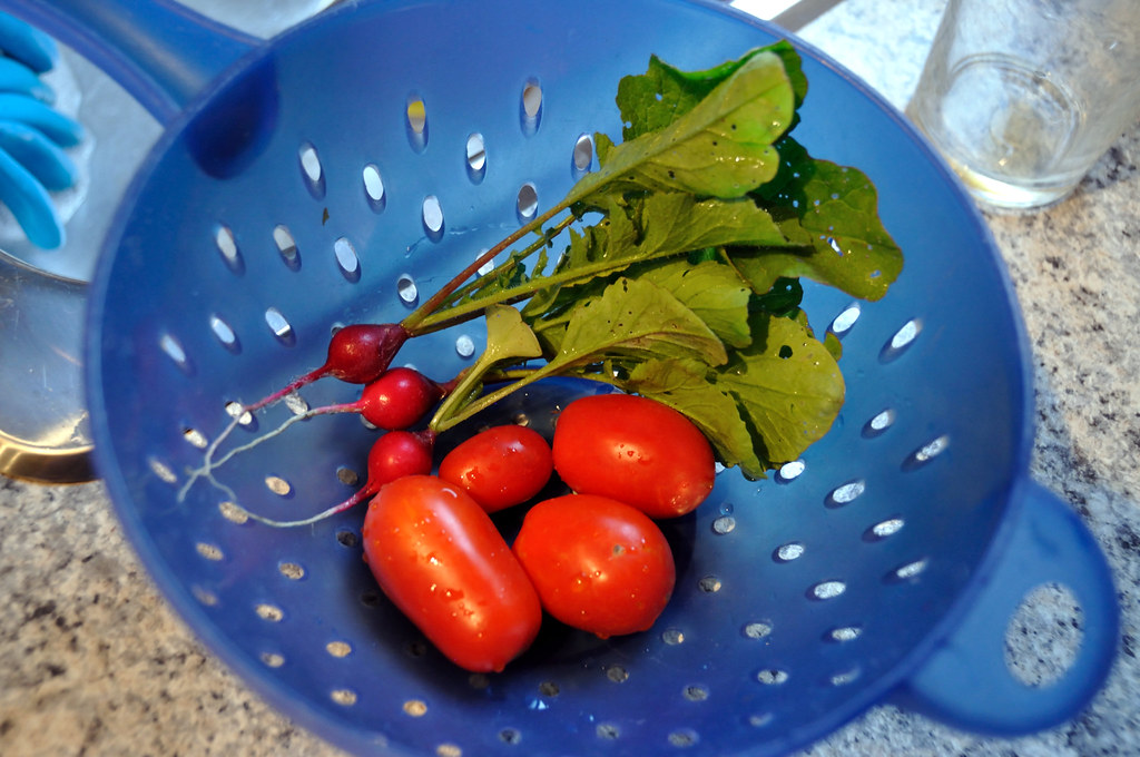 Radishes and tomatoes From my vegetable garden 2011. Flickr