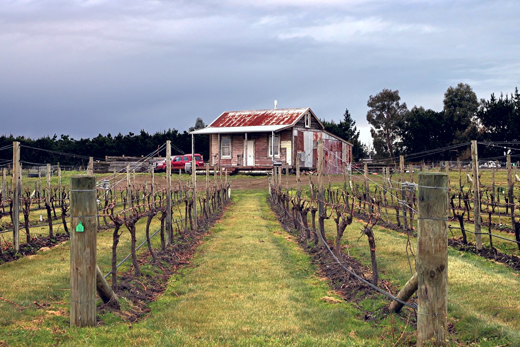 Old house, Riverlands, Blenheim, Marlborough, New Zealand. a photo on
