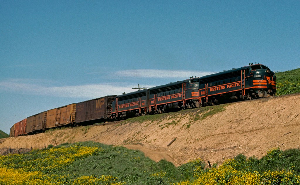 WP Fs eb,Altamont Pass, CA1 08 Apr 78PS Rick Wright Flickr
