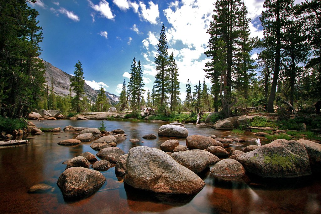 Murphy Creek Hiking into the Yosemite Wilderness, we came … Flickr
