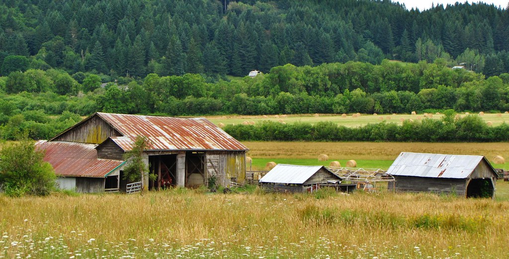 72611004Oregon Rural Scene Just one of those places that… Flickr