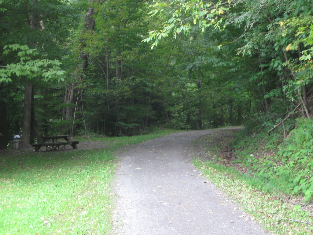 Deckers Creek Trail WV cgulker Flickr