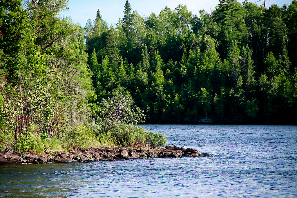 Lake of The Woods Lake of The Woods, Sioux Narrows, Canada… Flickr