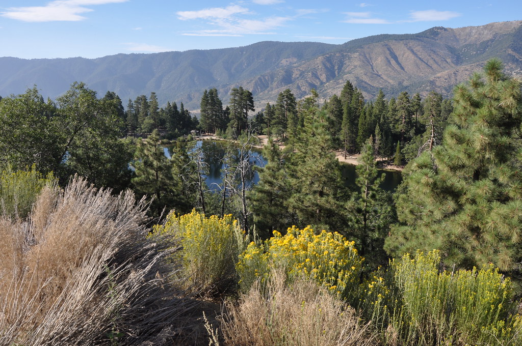 2011 08 21 Jenks Lake, Barton Flats, CA 026 Doug Carlson Flickr