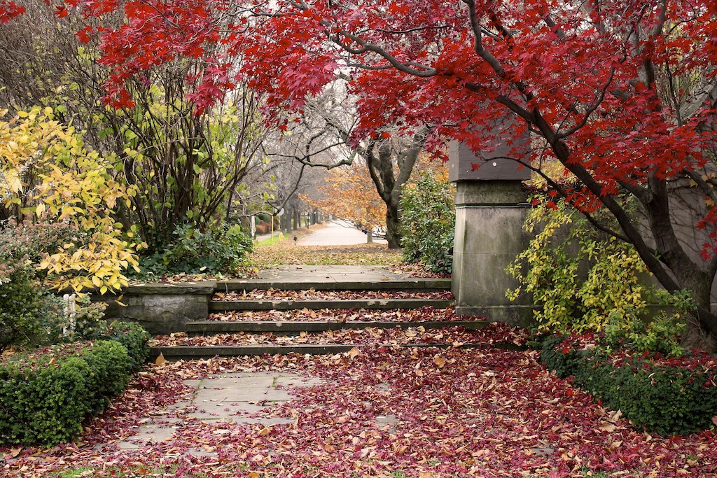 Autumn Eastman Gardens of Rochester NY Lizz Comstock Flickr