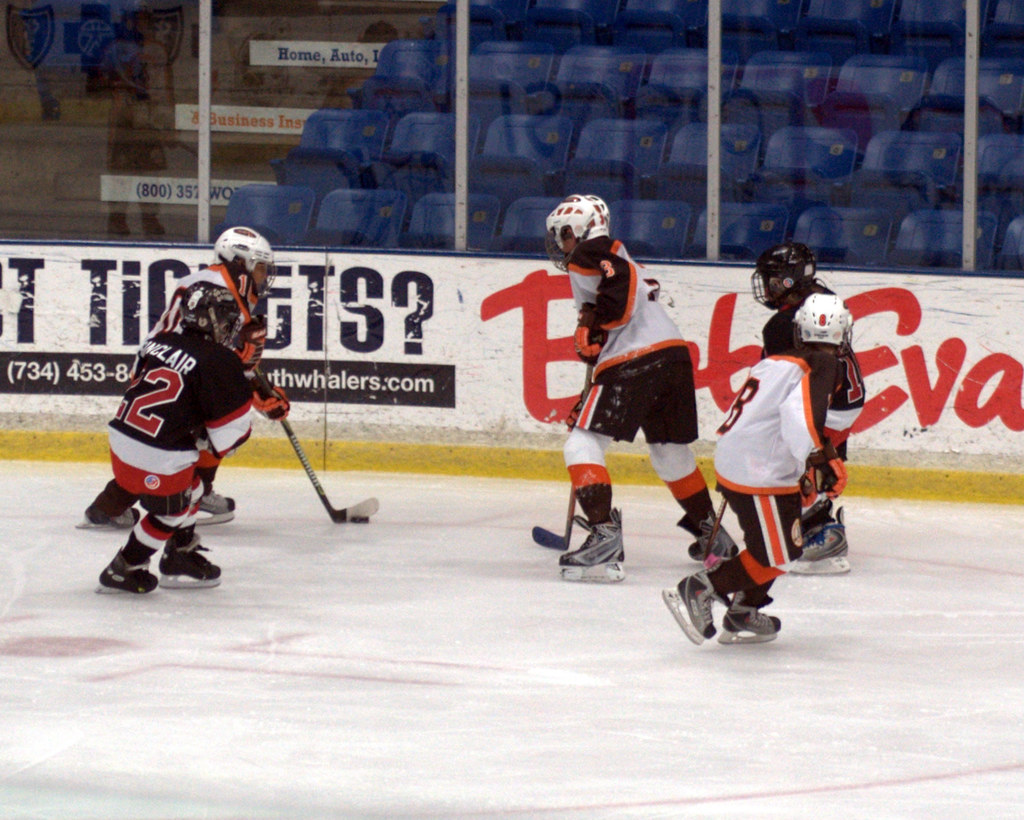 Redford Royals vs Compuware Ambassadors jpowers65 Flickr