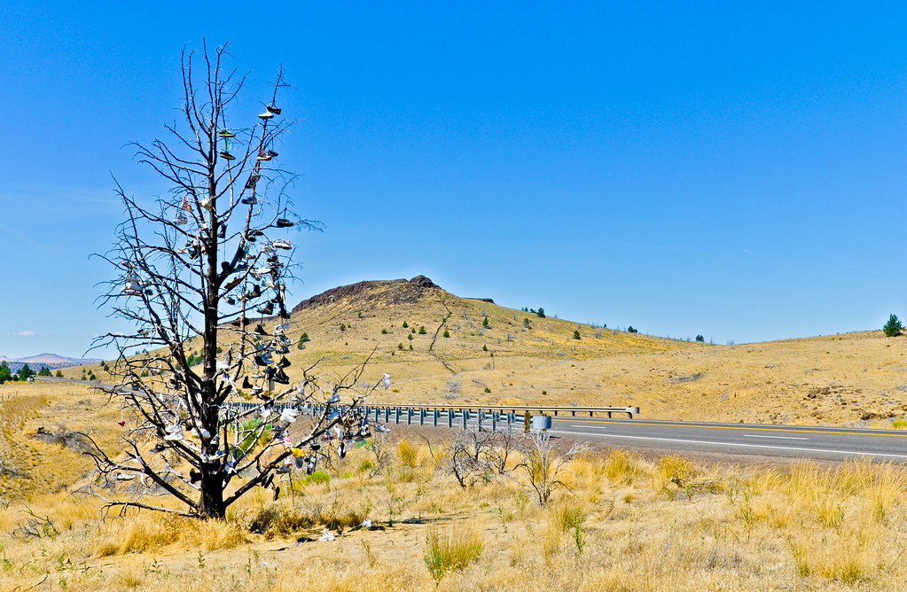 Madras Oregon Pair Tree This little interesting sight on h… Flickr