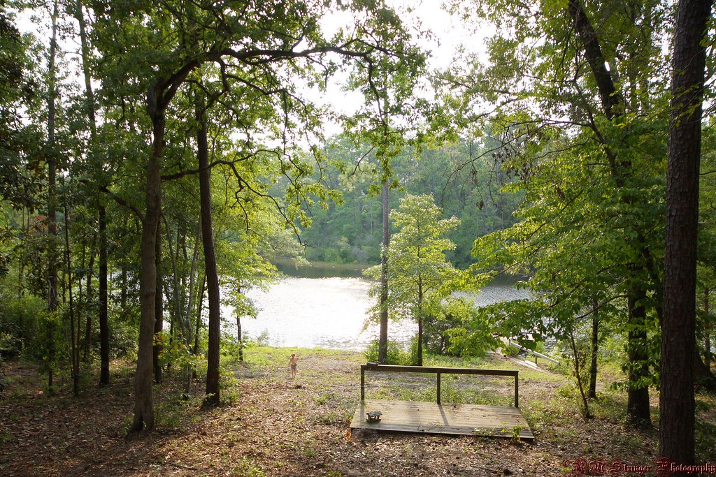 Elevation of Co Rd, Kirbyville, TX, USA Topographic Map Altitude Map