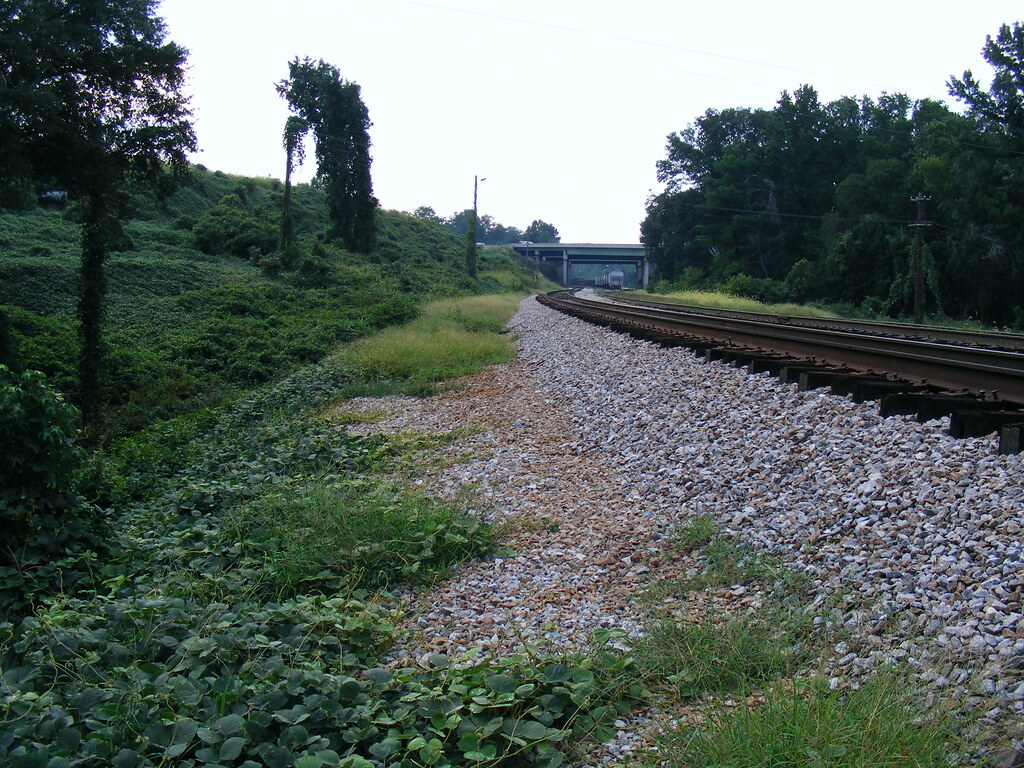 REM Murmur album cover Kudzu Field, Athens GA small white Flickr