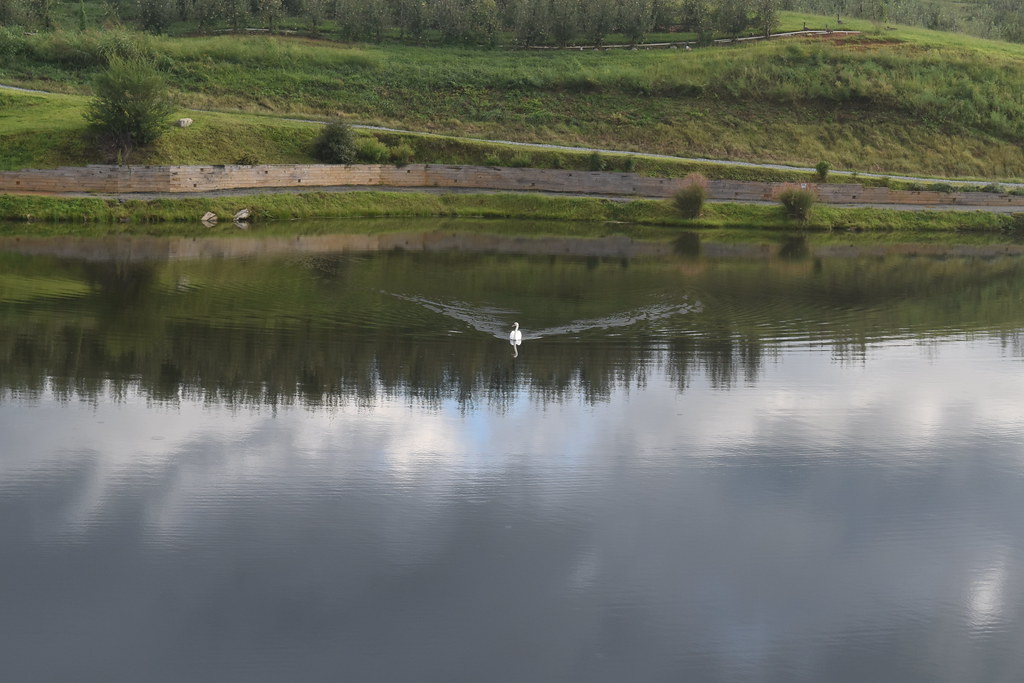 Elevation of Dry Branch Road, Dry Branch Rd, Blue Ridge, GA, USA