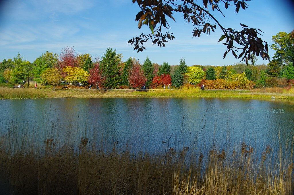 Meadow Lake at the Morton Arboretum, Lisle, Illinois Flickr