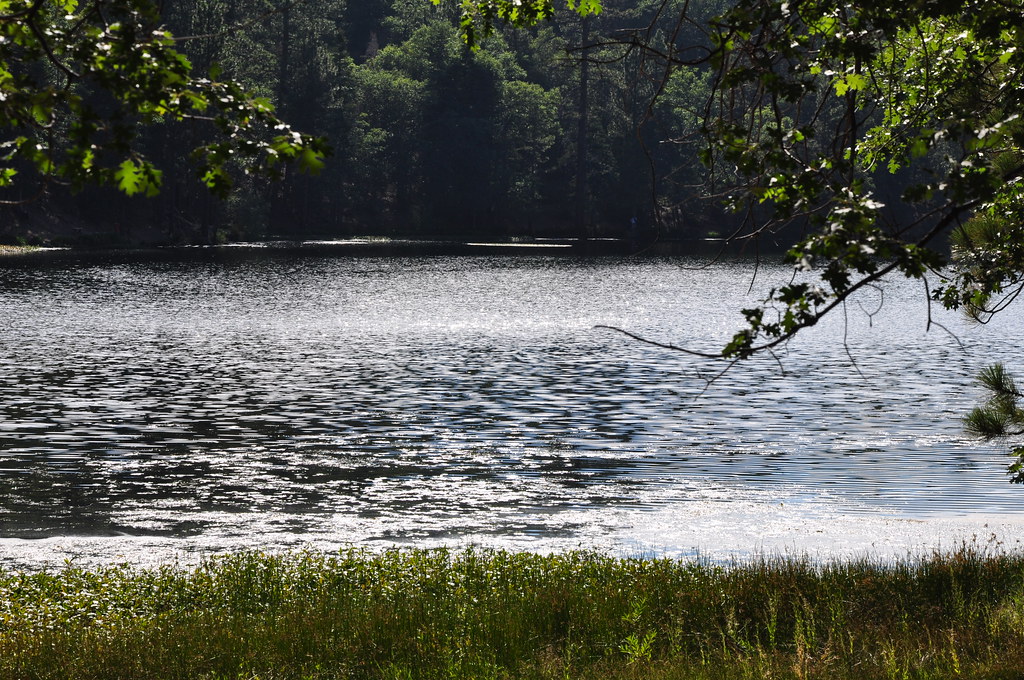 2011 08 21 Jenks Lake, Barton Flats, CA 013 Doug Carlson Flickr