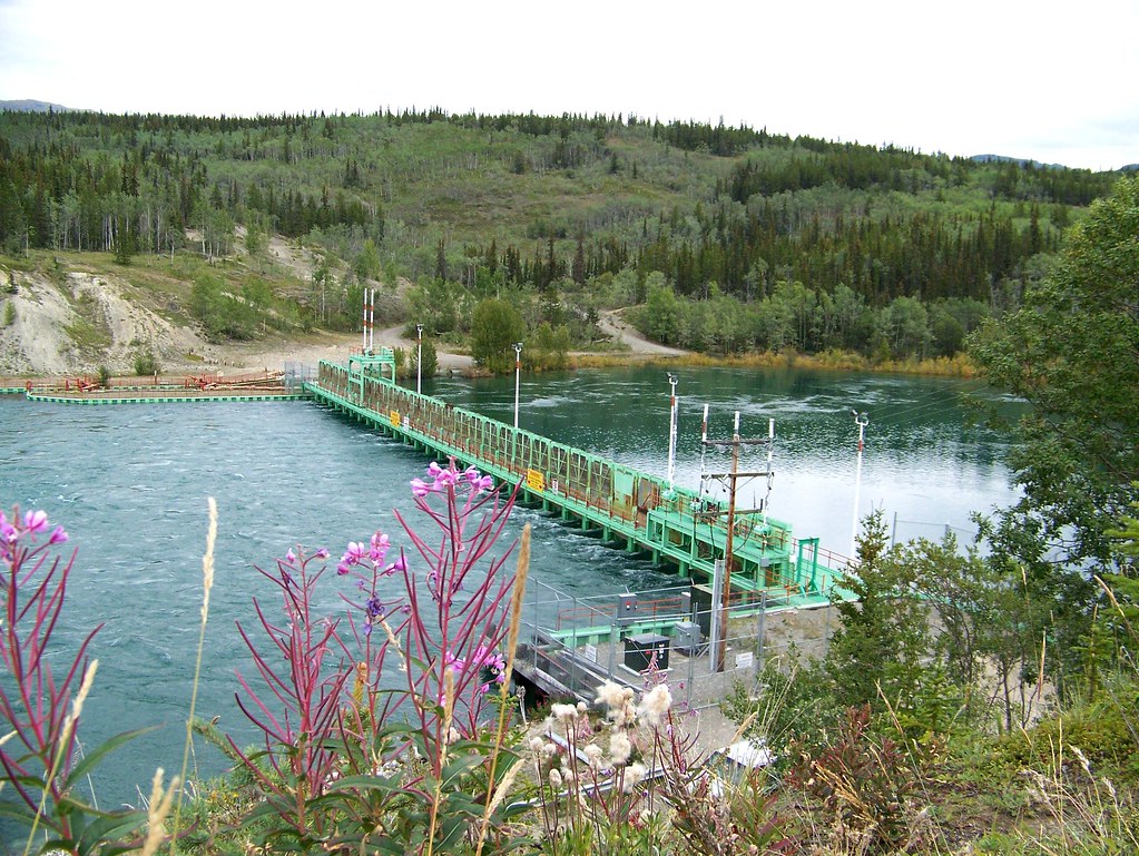 100_0214Lewes Dam1st Dam on Yukon RiverMarsh Lake Dam R… Flickr