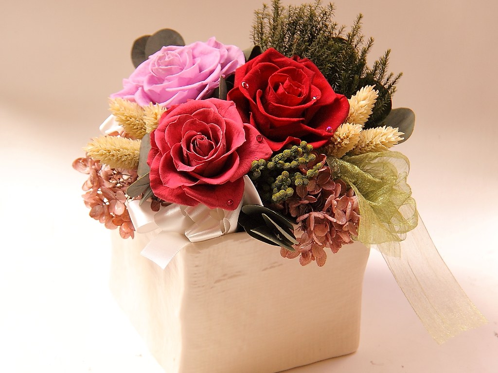 IMG_5578 PRESERVED FLOWER SARASTOUCH Flickr