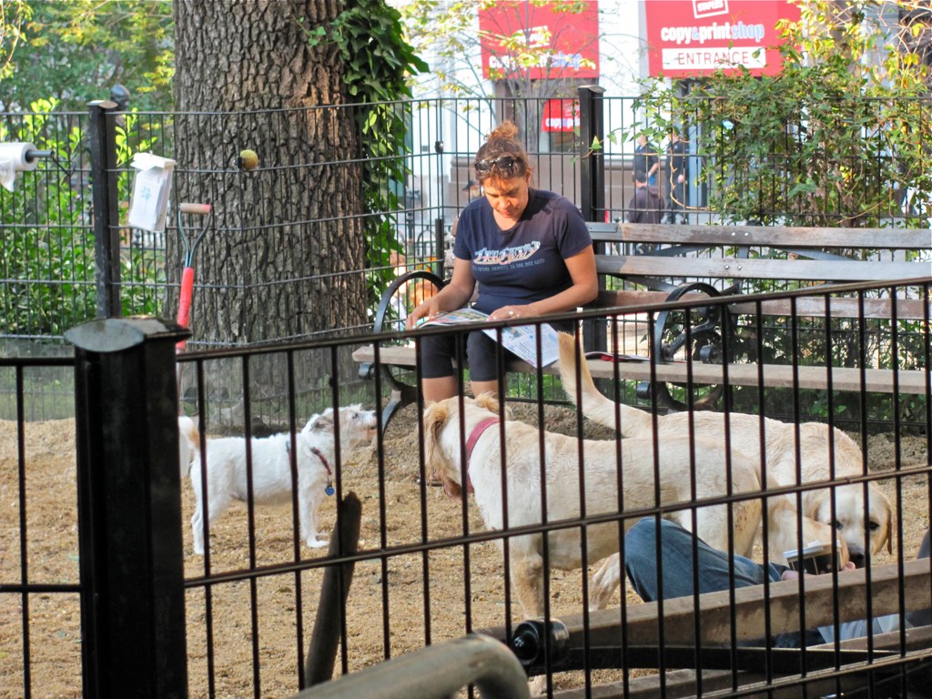 Manhattan Union Square dog park The little dog barked and… Flickr