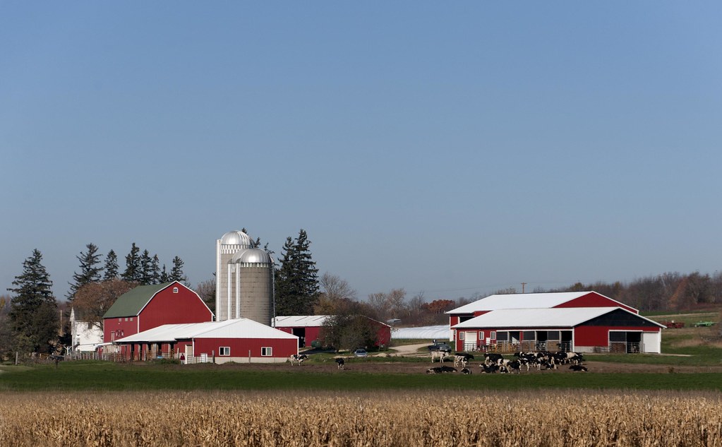 Wisconsin Dairy Farm One of the farms in Dodge County. I l… Flickr