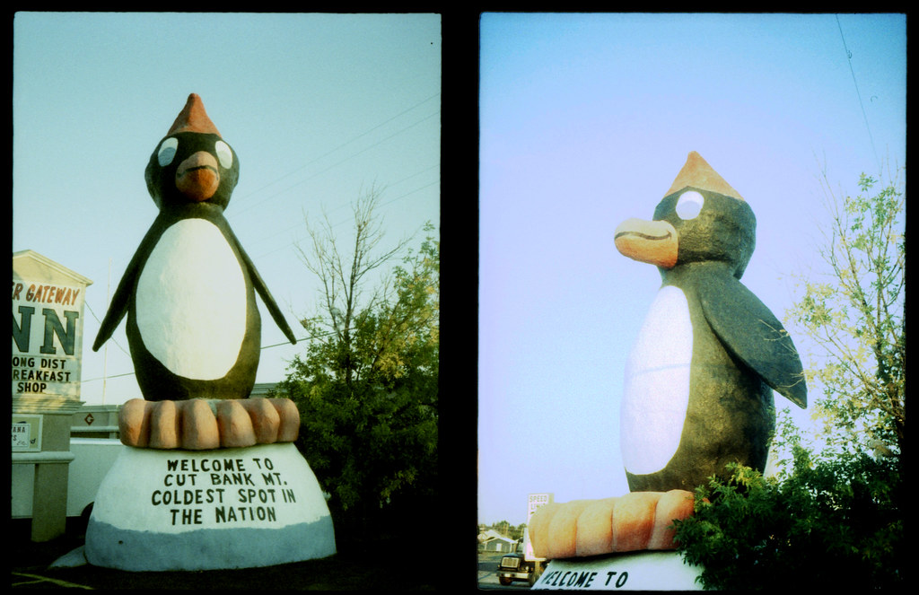 Penguin In Cut Bank, Montana. Shot with the Olympus PenEE… Flickr