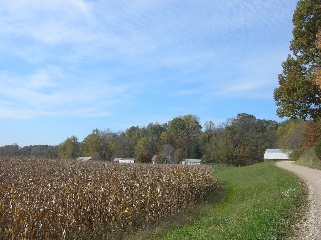 Indiana Farmland Taken from the Bowsher Ford Covered Bridg… Flickr