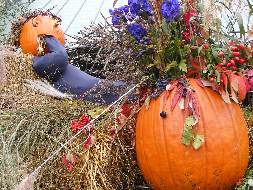 ** Joyeuse Halloween * Happy Halloween ** Flickr