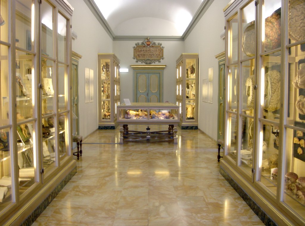 Anatomy museum, Bologna a photo on Flickriver