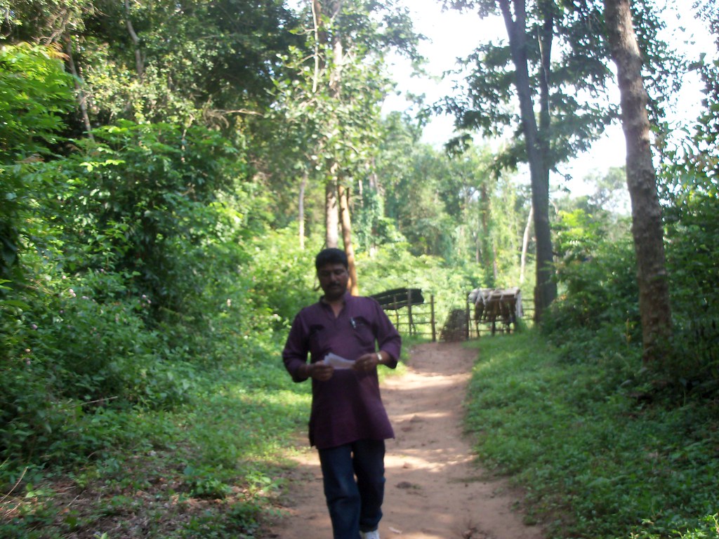 maredumilli maredumilli forest india travel india tourist places indian