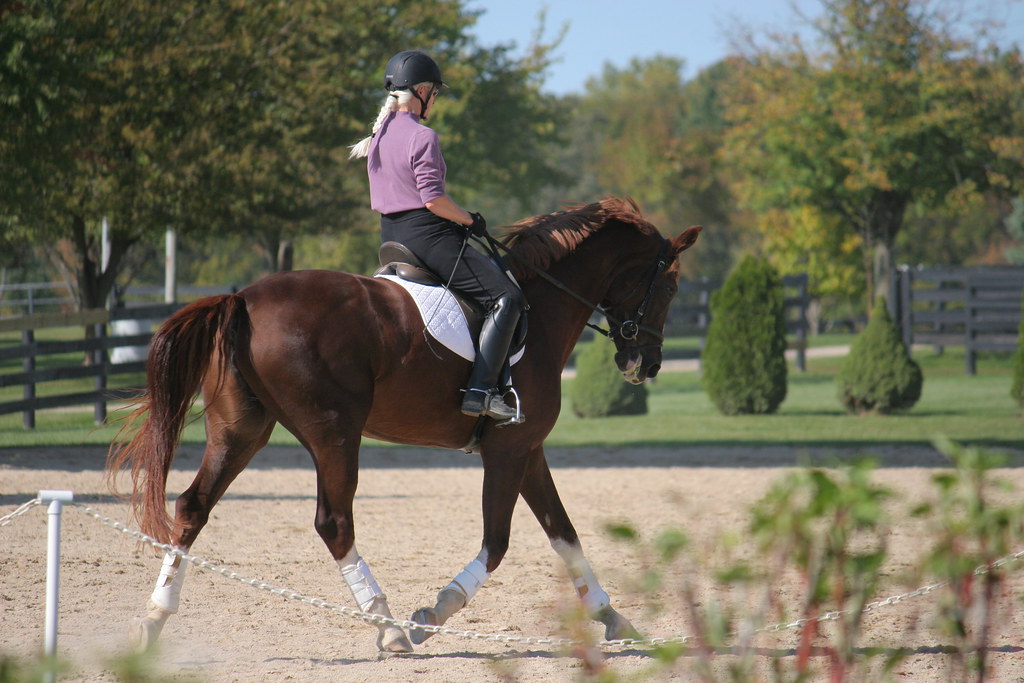 Silverwood Farm Dressage Show Camp Lake, WI, October 2, 20… Flickr
