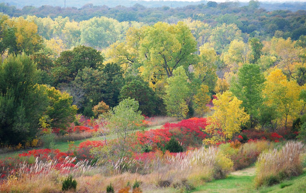 Oklahoma Autumn Not known for it's showy fall colors, some… Flickr