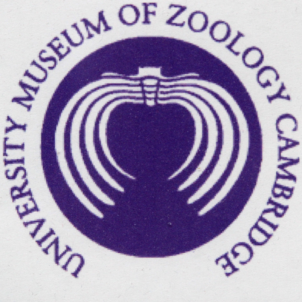 UNIVERSITY MUSEUM OF ZOOLOGY University Museum of Zoology … Flickr