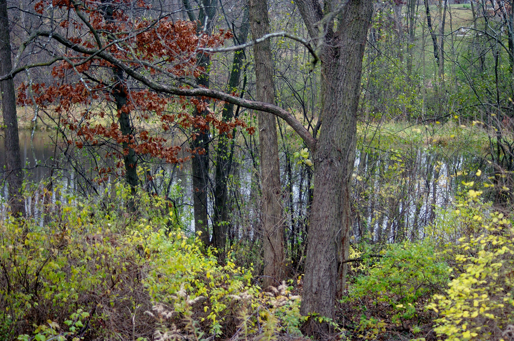 White Memorial Cemetery, Cuba Township IL White Memorial C… Flickr