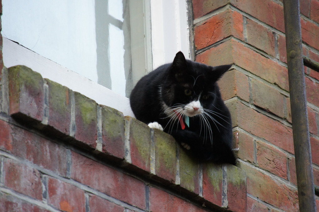 St Cross, 23 Road, Bournemouth, Dorset Alwyn Ladell Flickr