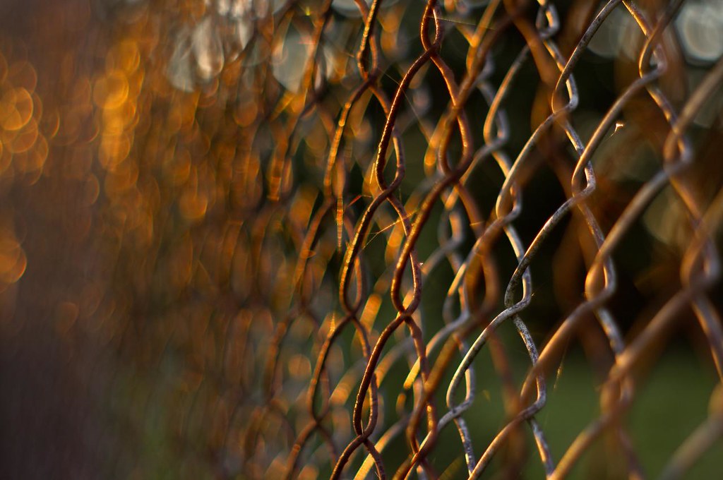 ooOoo XXXX Versuchung bokeh II Flickr