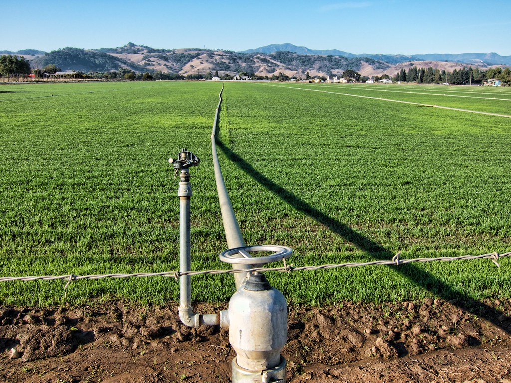 Green field in Hill Don DeBold Flickr