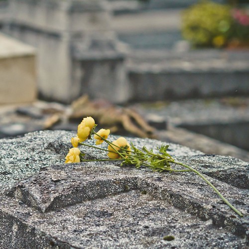 Versailles, Cemetery SaintLouis 〖2886〗© boma.dfoto All … Flickr