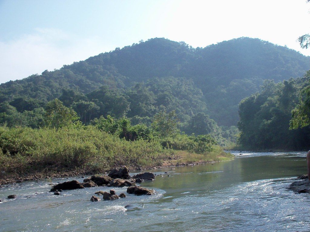 maredumilli maredumilli forest india travel india tourist places indian