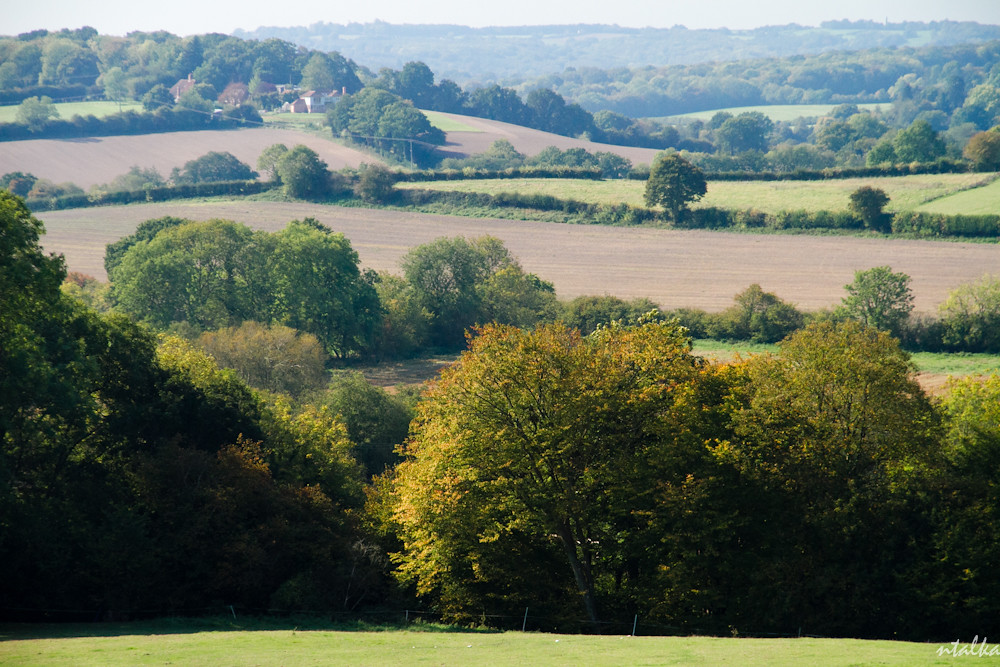 Time Out Country Walks From London at Thomas Williams blog